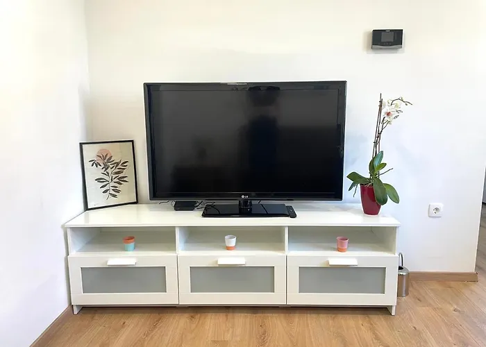 Flat Near The Center With Free Parking 卢布尔雅那